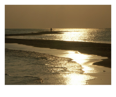 Beach Walk - 2A5058