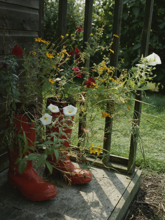 Buy Flowers Bloom from an Unlikely Place-A Pair of Red Boots on a Porch at AllPosters.com