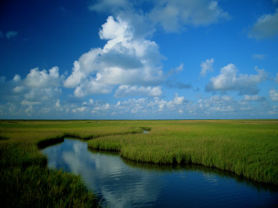 Buy Marsh Canal in Oyster Bayou at AllPosters.com