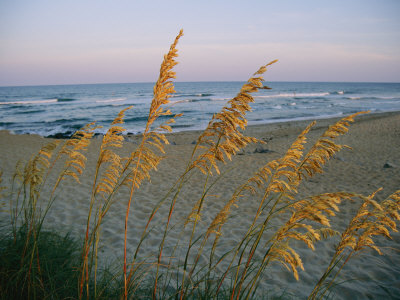 Buy Beach Scene at AllPosters.com