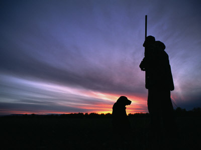 Buy A Silhouetted Hunter and His Dog at Twilight at AllPosters.com
