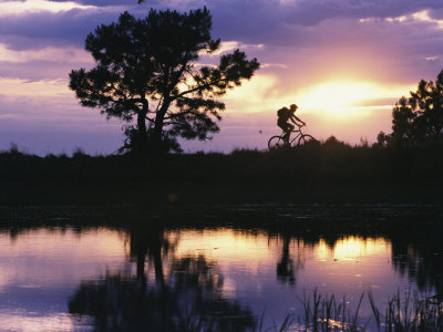 Buy Silhouetted Cyclist, Arizona at AllPosters.com