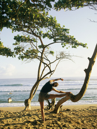 A Woman Stretches Her Body on a Small Tree at a Sandy Beach