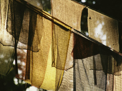 Sunlight Filters Through Prayer Flags Hanging in Kathmandu