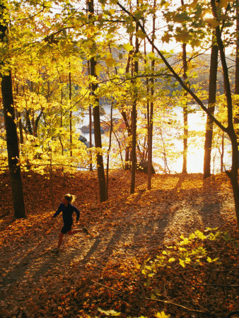 Buy A Woman Jogs Through a Wooded Area in Low Sunlight at AllPosters.com