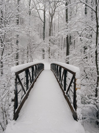 A View of a Snow-Covered Bridge in the Woods