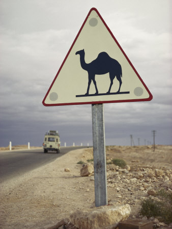 Beware of Camels Sign Along an Algerian Highway
