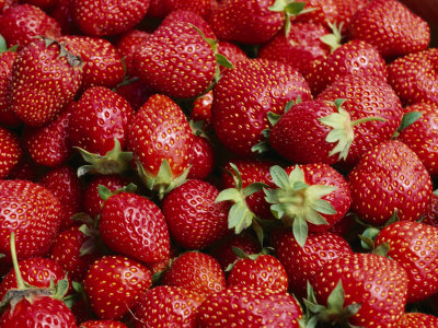 Buy Close View of Freshly Picked Strawberries at AllPosters.com