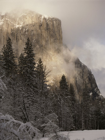 Buy Scenic of Mountain and Fir Trees at AllPosters.com