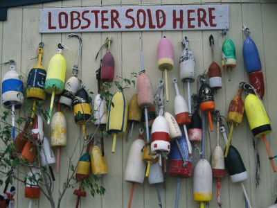 Buy Colorful Lobster Buoys Hang on a New England Shed at AllPosters.com