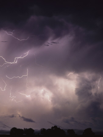 Buy Lightning Flashes over a Stand of Trees at AllPosters.com