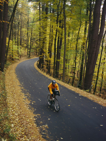 Buy A Cyclist Riding Along a Rural Road in the Fall at AllPosters.com