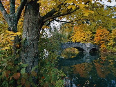 Buy Autumnal View of a Stone Bridge at AllPosters.com