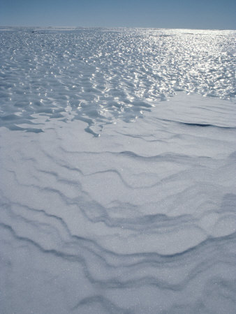 A Bare Ice Glacier and Wind Carved Sastrugi Snow on Antarctic Icecap