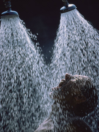 Buy Two Showerheads Release a Torrent of Water on an Open-Mouthed Man at AllPosters.com