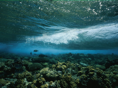 Buy Underwater View of a Wave Breaking over a Reef at AllPosters.com