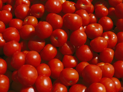 Buy Close-up of Tomatoes at a Market in Helsinki at AllPosters.com