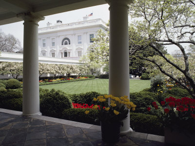 Buy View of the Rose Garden from the White House at AllPosters.com