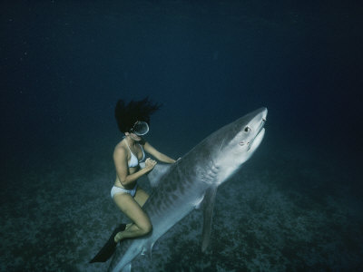 Buy A Woman Rides a Shark at AllPosters.com