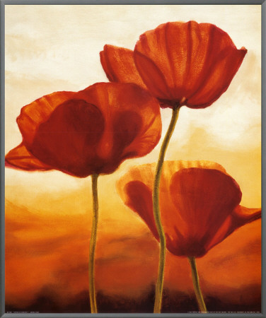 Poppies in Sunlight I