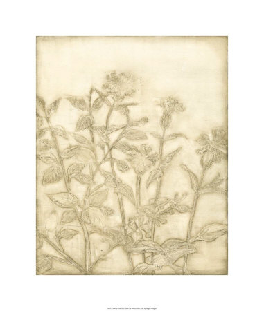 Ivory Field II