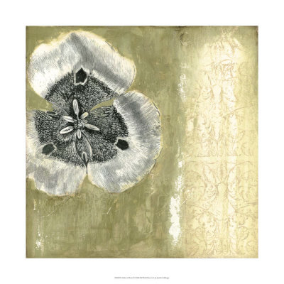 Celadon in Bloom II