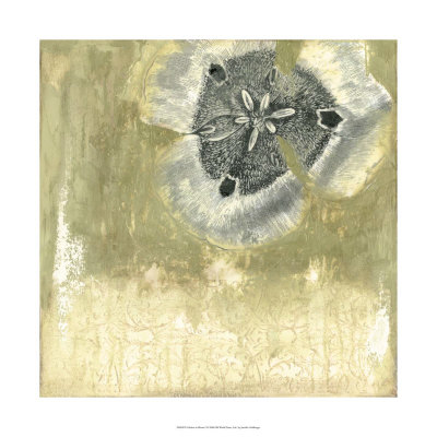 Celadon in Bloom I