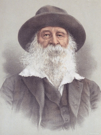 Engraving of American Poet Walt Whitman