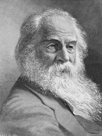 Engraving of American Poet Walt Whitman from Photograph by Napoleon Sarony