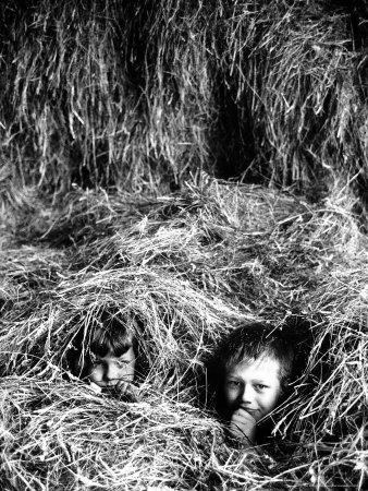 Carolyn Thomas and John Bates Poking Heads from under a Pile of Hay at a Country Hayloft Party
