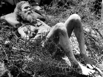 Indian Fakir Sleeping on a Bed of Thorns as He Shuns Pain While Practicing His Religious Asceticism