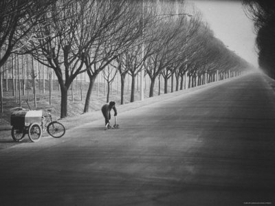 Chinese Street Cleaner Meticulously Sweeping This Tree Lined Road from the Peking Airport