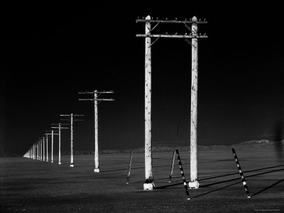 Row of Telephone Poles Along Bonneville Salt Flats