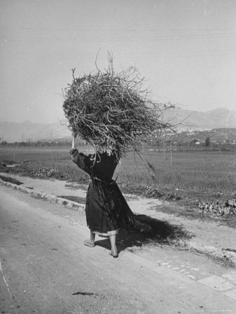 Woman Carrying Bundle of Firewood on Her Head