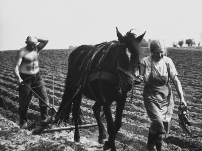 Polish Farmer and Wife Plowing