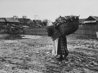 Polish Woman Carrying Flowers and Firewood to Use For Fuel