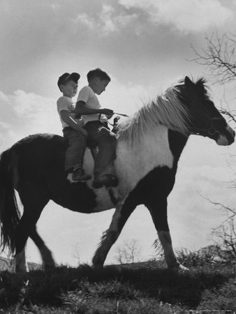 Two Boys Riding on Their Pet Pony