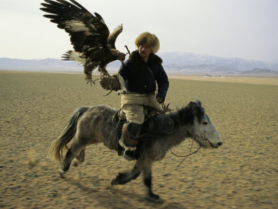 Buy A Mongolian Eagle Hunter in Kazahkstan at AllPosters.com