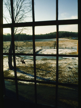 Buy View Looking out Through a Window at a Horseback Rider at AllPosters.com