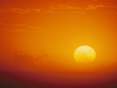 Silhouetted Combine at Dusk