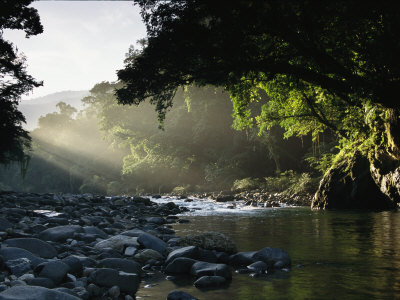 Rays of Sunlight Shining on a Stone-Filled Creek in a Woodland Setting