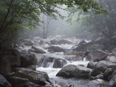 Buy A Stream Courses Through Baxter State Park at AllPosters.com