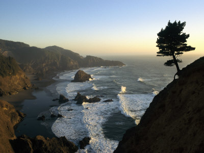 Buy A Scenic View of the Oregon Coast at Samuel H. Boardman State Park at AllPosters.com