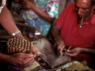 A Man Bundles up a Bunch of Finished Cigars in a Factory in Trinidad, Cuba, Trinidad, Cuba