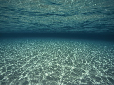 Buy Underwater View at AllPosters.com
