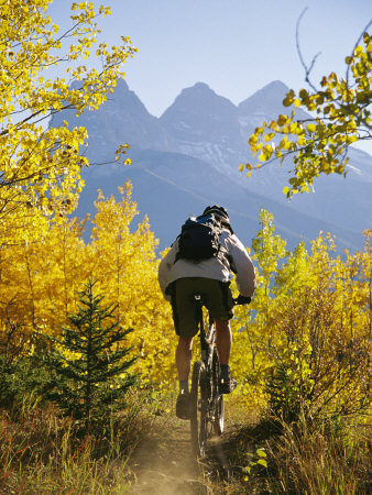 Buy Cyclist Biking Through Trees with Autumn Foliage at AllPosters.com