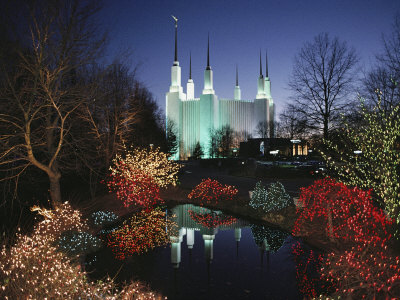 Colored Lights Decorate Bushes on the Mormon Temple Grounds