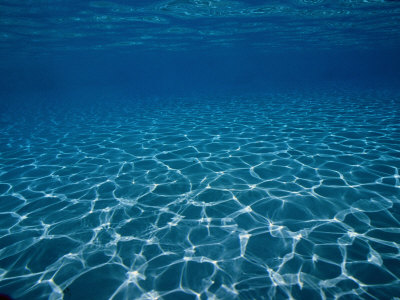 Buy Sunlight Reflects on the Sea Floor Through Crystal Clear Blue Water at AllPosters.com