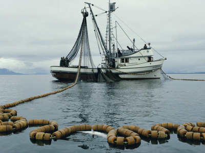 Buy A Fishing Boat with a Large Net in the Water at AllPosters.com