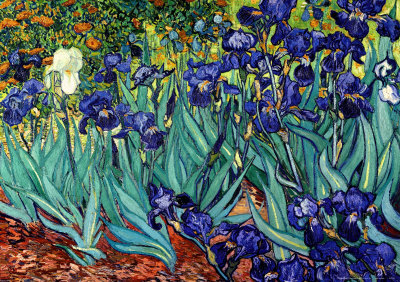 Buy Irises, Saint-Remy, c.1889 at AllPosters.com